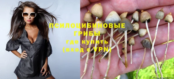 не бодяженный Алзамай