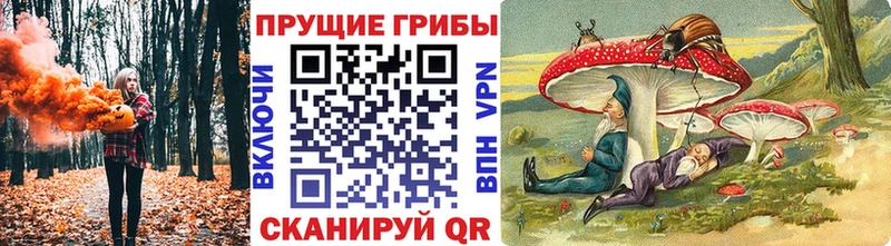 MEGA сайт  Кашин  Псилоцибиновые грибы Psilocybine cubensis 