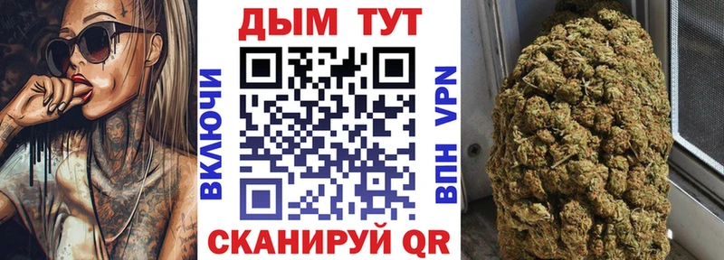 Бошки Шишки гибрид  Кашин 